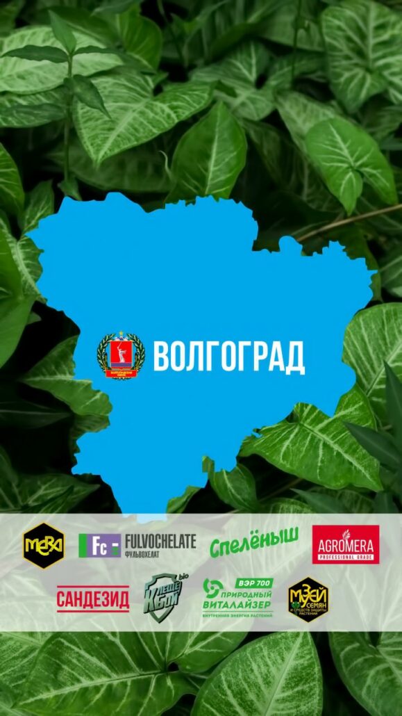 «СЕМЕНА-БАЗА.РФ» эксклюзивный поставщик МЕРА в Волгоградской области «СЕМЕНА-БАЗА.РФ» эксклюзивный поставщик МЕРА в Волгоградской области