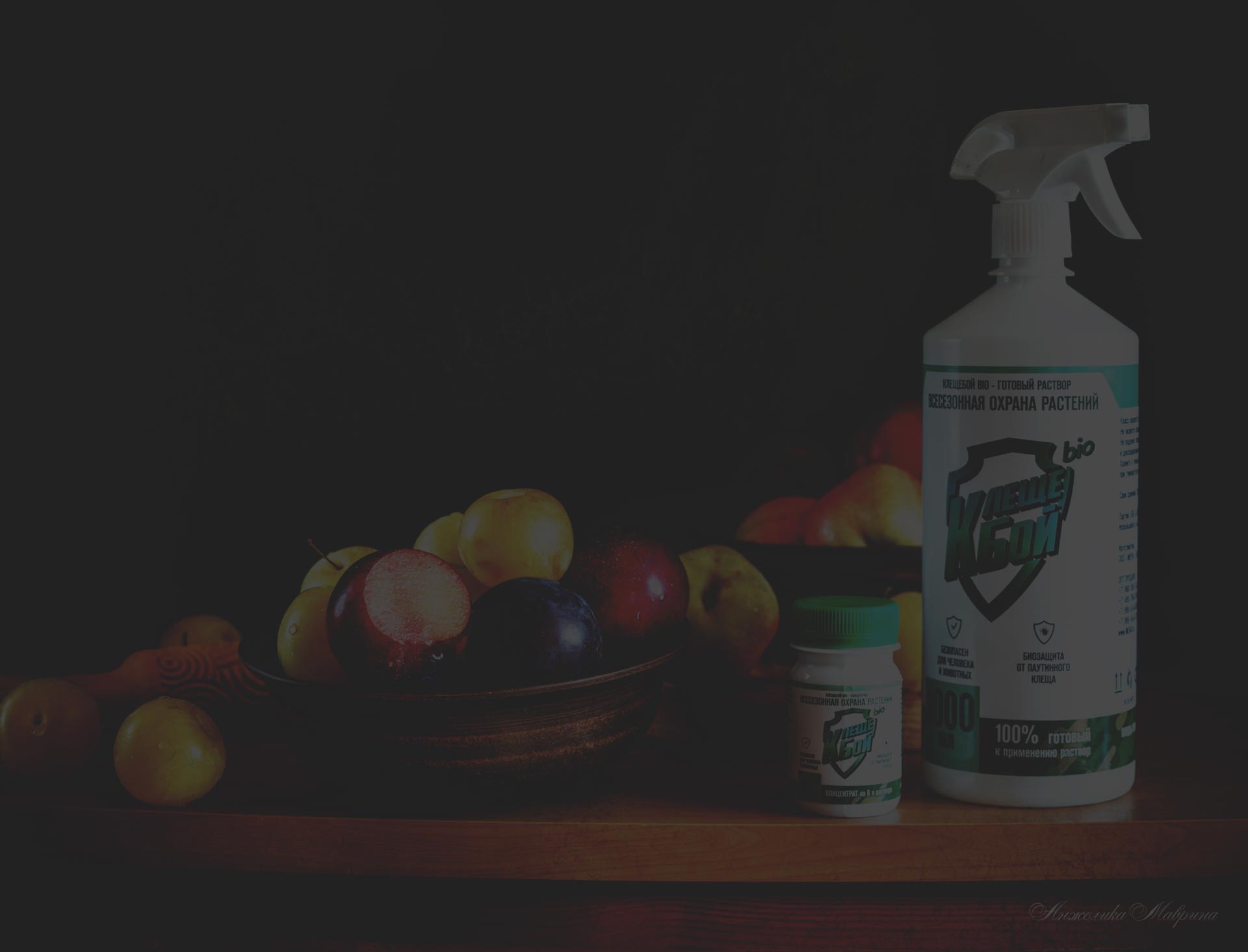 Оптимальные условия для роста и развития фиалок зимой Оптимальные условия для роста и развития фиалок зимой