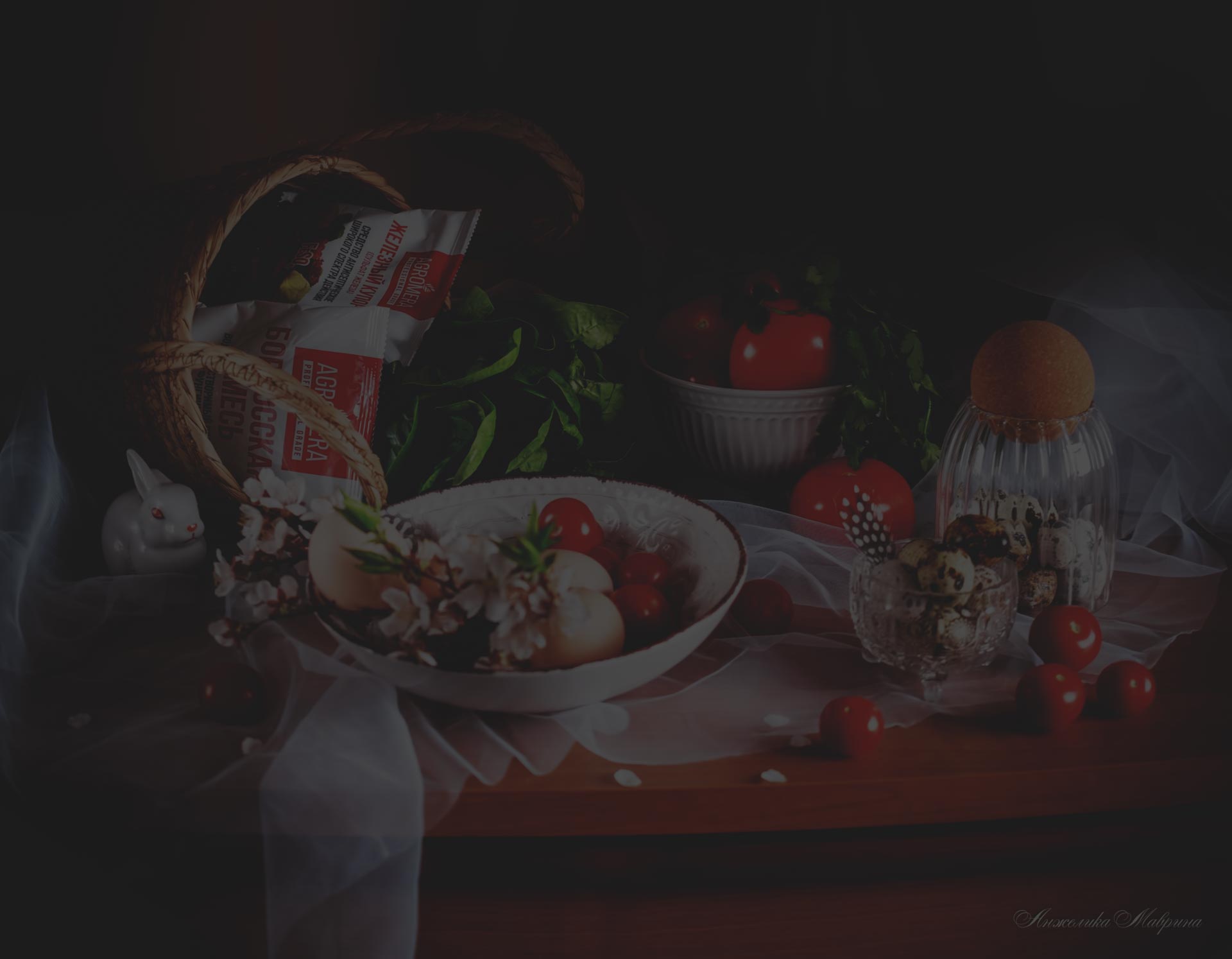 Подкормка комнатных растений после зимнего периода в марте Подкормка комнатных растений после зимнего периода в марте