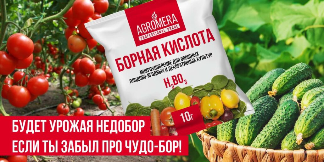 борная кислота как удобрение для растений
