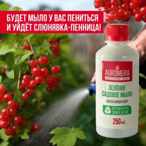 где купить зеленое мыло от вредителей