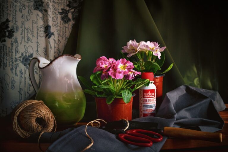 Секреты пышного цветения: эффективное применение удобрений удобрение для садовых цветов