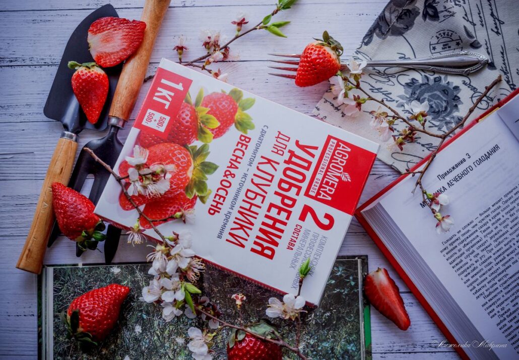 Чем можно подкормить клубнику