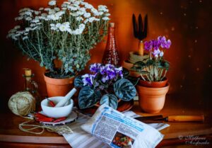 Чем обработать кислую почву