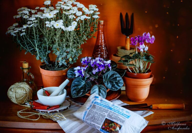 Кислая почва: как распознать и исправить проблему на вашем участке Чем обработать кислую почву