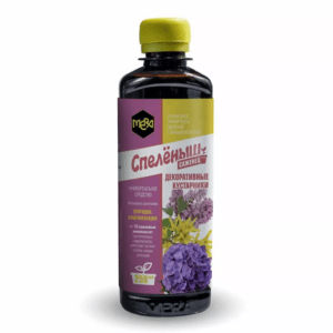 развитие декоративных кустарников