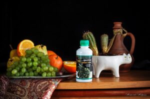 уход за фикусом в горшке