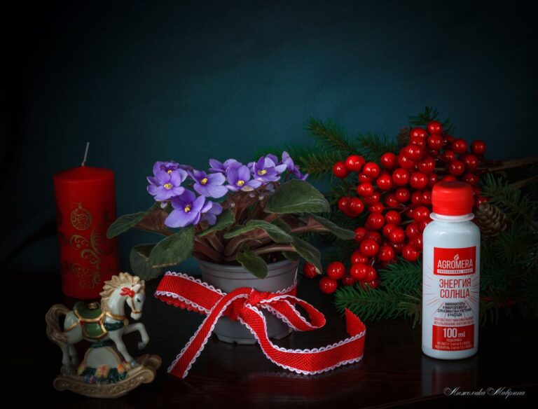 Яркая зелень даже при недостатке света: секреты здоровых комнатных растений Яркая зелень даже при недостатке света: секреты здоровых комнатных растений