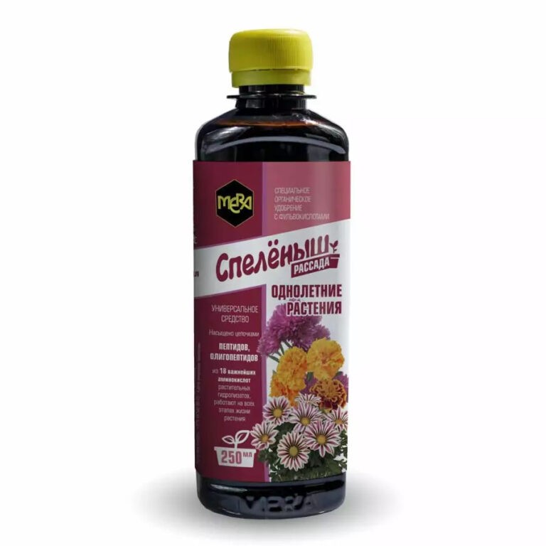 Секреты выращивания крепкой рассады: от всходов до пышного цветения Секреты выращивания крепкой рассады: от всходов до пышного цветения