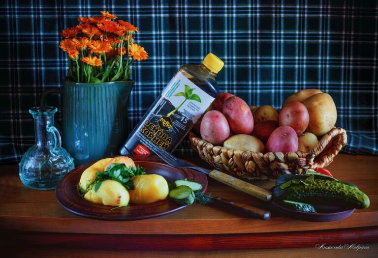 Идеальный баланс питательных веществ: секрет здорового развития растений Идеальный баланс питательных веществ: секрет здорового развития растений