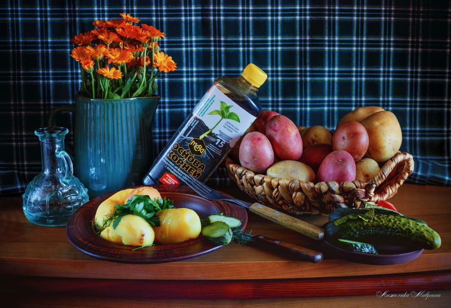 Идеальный баланс питательных веществ: секрет здорового развития растений