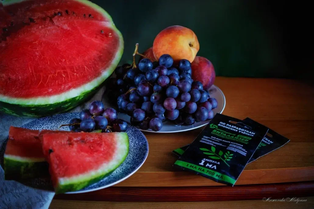 Как создать уютный дом для растений с помощью подоконников и горшков